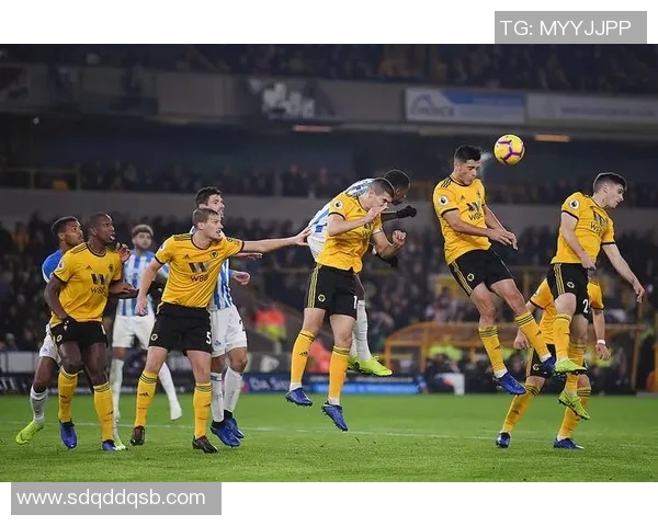 沃尔夫斯堡引进前法兰克福球员，加强中场实力